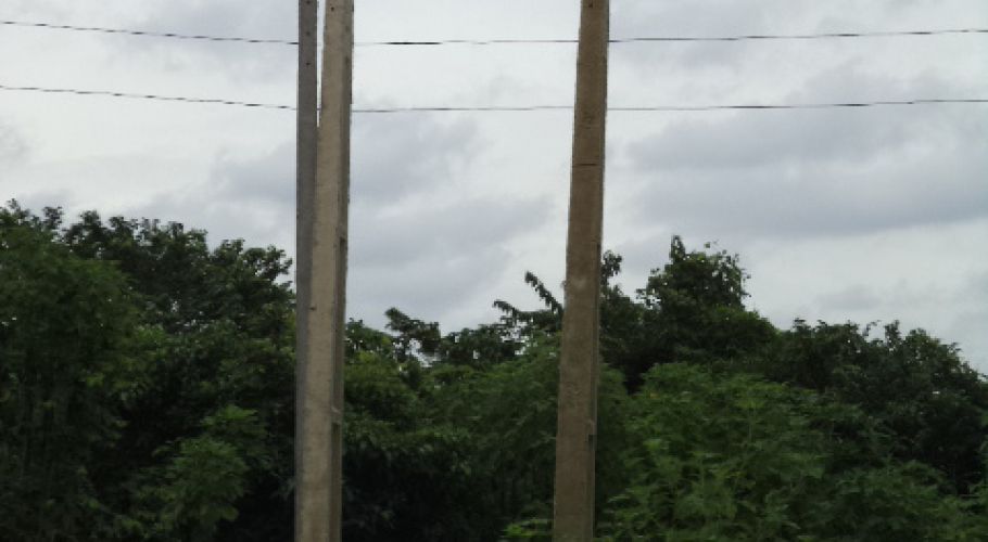 DSC01999